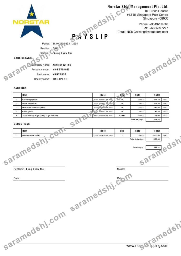 Norstar Ship Management payslip template in Word and PDF formats.pdf, 1